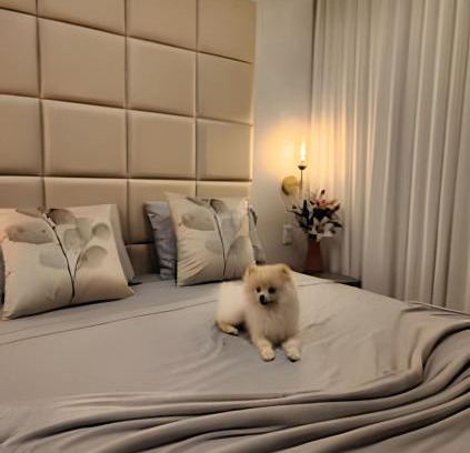 Goiania Apartment | Lux Flamboyant - Marylebone