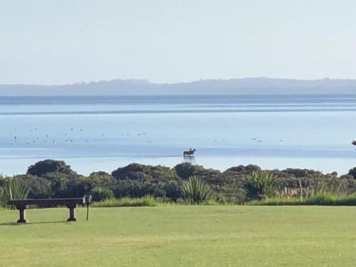 Clarks Beach House | Luxurious Beachfront House in Clarks Beach