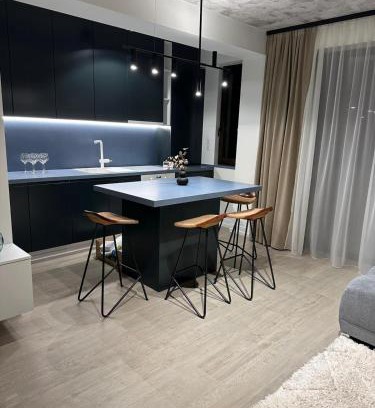 Satu Mare Apartment | Luxury Blue Apartment