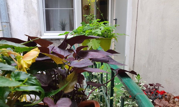 Stare Miasto Apartment | Luxury studio at the very old town