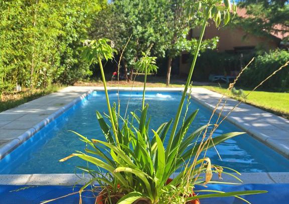 Carpinteria Apartment | Luz de Cabaña