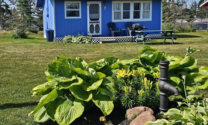 York Cottage | Lyons Cottages - Cottage #3, 2BR Walk to the Beaches of Stanhope National Park!