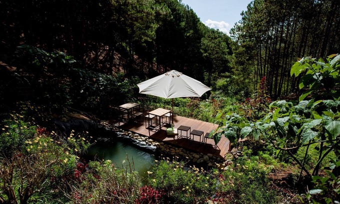 Da Lat Resort | Mơ Stay Forest Resort