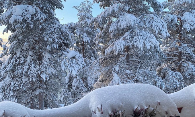 Rovaniemi Apartment | Magical and Cosy apartment with tree views from every window!