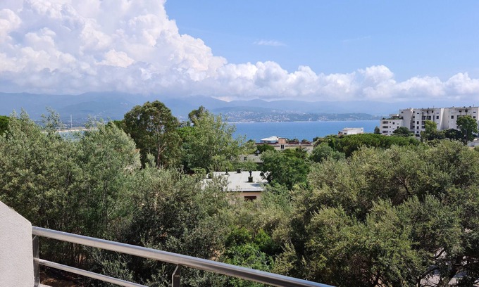 Le Ricanto Apartment | Magnificent T2 parahotelier with 23m2 south-facing terrace and sea view