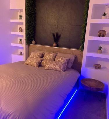 Avolsheim Apartment | Magnifique gîte avec jacuzzi et sauna privatifs