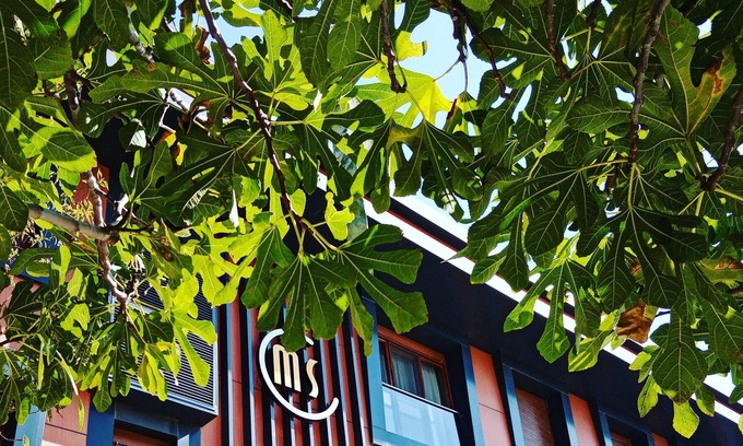 Eceabat Hotel | Maidos Suites