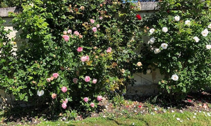 Beaulieu-les-Loches House | Maison au bord de l’Indre, Beaulieu-les- loches