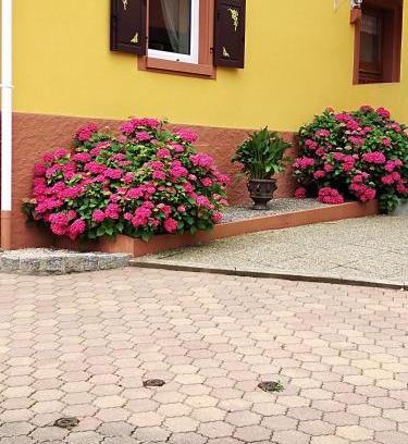 Sondernach House | maison de vacances chez louis