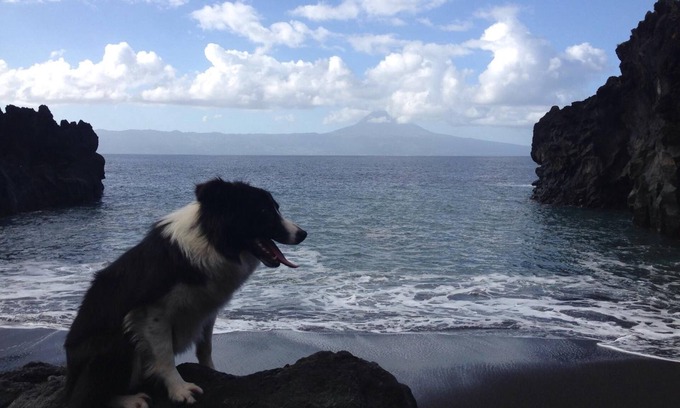 Velas Other | Make It Happen Farm