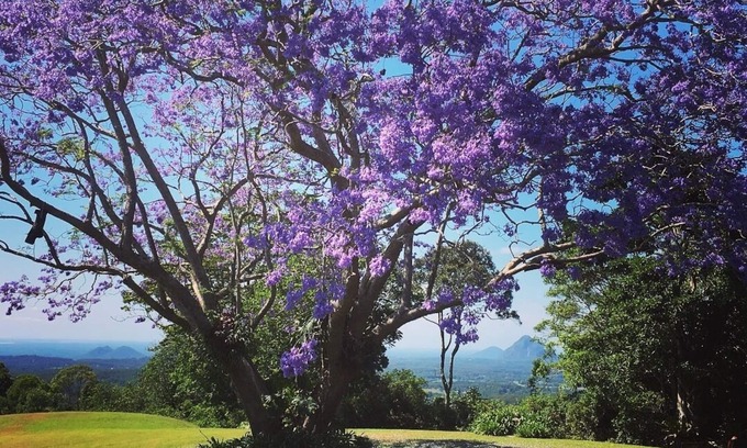 Maleny House | Maleny - 3 bedroom house with Outstanding Sunshine Coast Hinterland Views