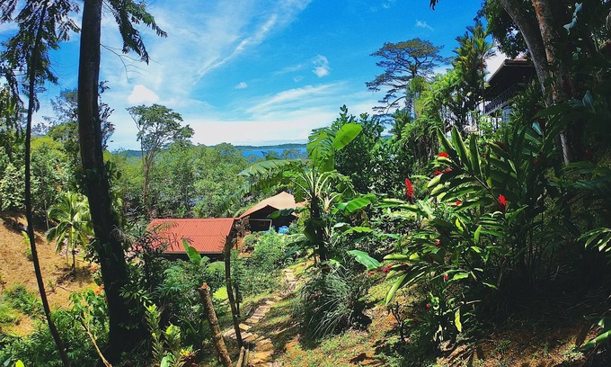Isla Solarte Cabin | Mango EcoLodge located where the Caribbean Sea meets the tropical rainforest!
