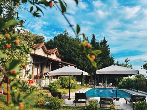 Sapanca Villa | Manzara Ödüllü Büyük Havuzlu Premium Villa