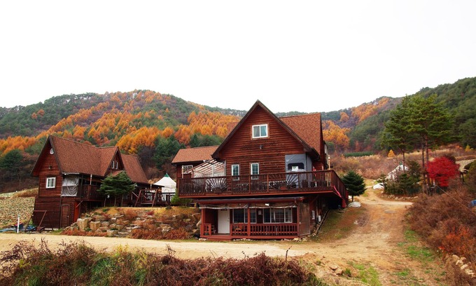 Bongpyeong House | "Margaret" Duplex Liun Pine Tree Cabin