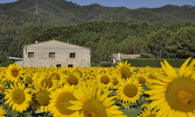 Sant Gregori House | Mas Font