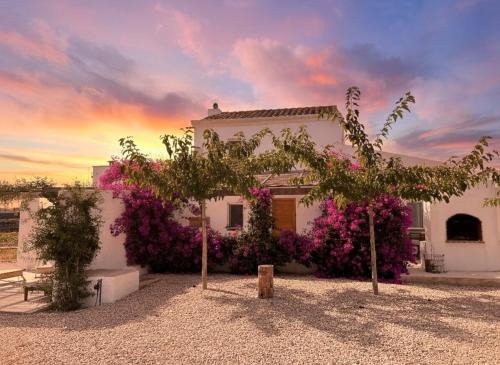 Sant Jaume d'Enveja House | Mas Midó