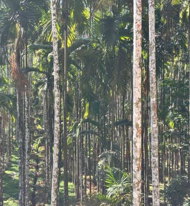 Hole Narsipur House | Max farms