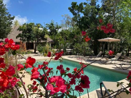Akumal Hotel | Maya Eco Village