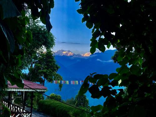 Pelling Hotel | MayaTels - Maya Eco Huts, Pelling