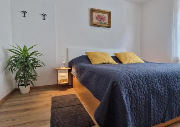 Pivka Apartment | Medeni Apartma