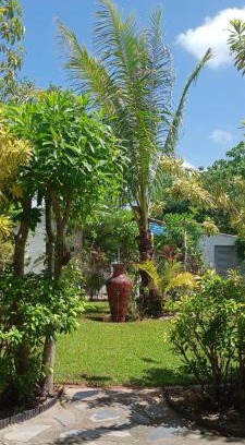 Pathio Hotel | Mem Homestay