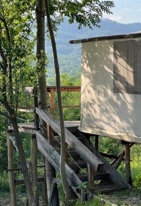 Jibert Other | Mesteceni Glamping