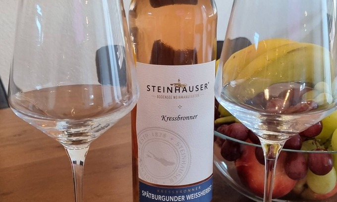 Kressbronn Apartment | MF Ferienwohnungen am Bodensee - Luna Premium apartment with large roof terrace