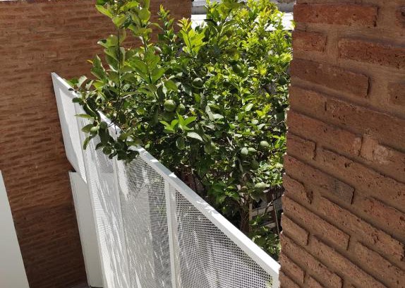 Esperanza Apartment | Mi Limonero