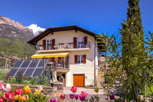 Caldaro Sulla Strada del Vino Bed & Breakfast | Micheli Hermann