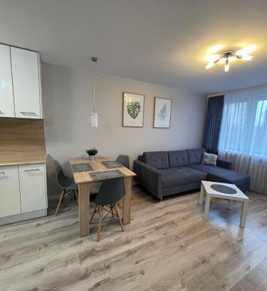 Plock Apartment | Mieszkanie w centrum z oddzielną sypialnią
