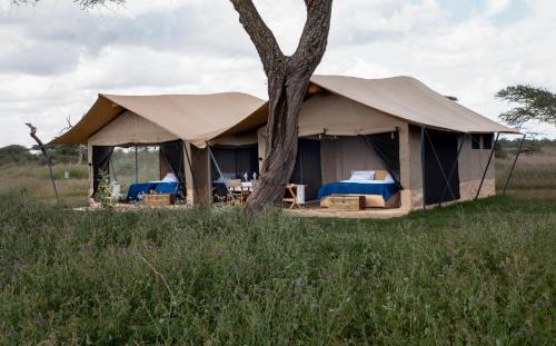 Serengeti National Park Other | Migration UnderCanvas