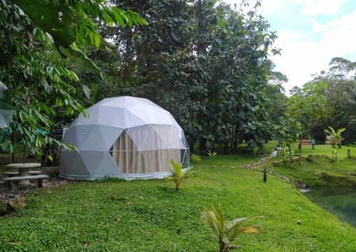 Guayabo Other | Mineral River Eco Dome