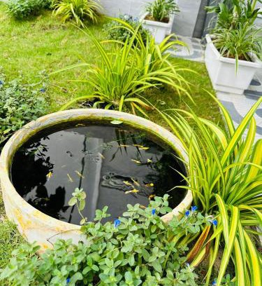 Phan Thiet Villa | Minh Hiếu - Villa 3 rooms