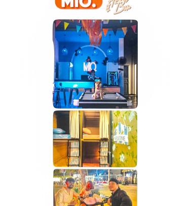 Son Tra Hostel | Mio. Hostel & Bar