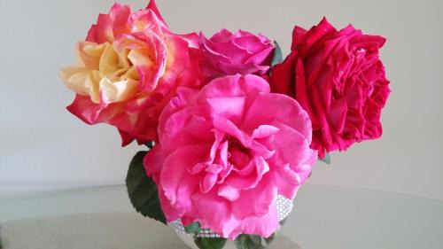 Solana del Matorral Apartment | Mirador Balcón de Jandía