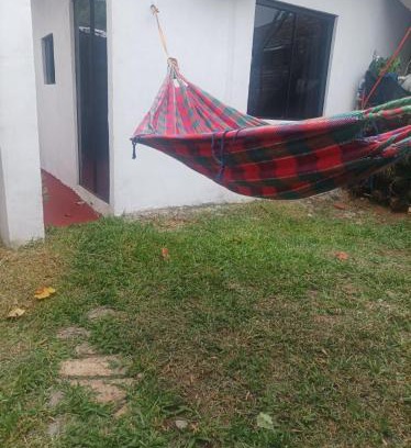 Lambare Apartment | Miraflores 1- The greenhouse