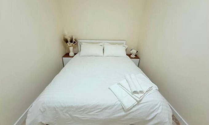 Downtown Ulaanbaatar Apartment | Modern 2BR Next to Dept Store