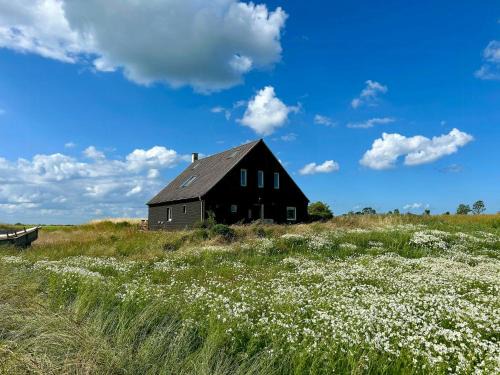 Harpelunde House | Modern Beach House At Frederiksdal