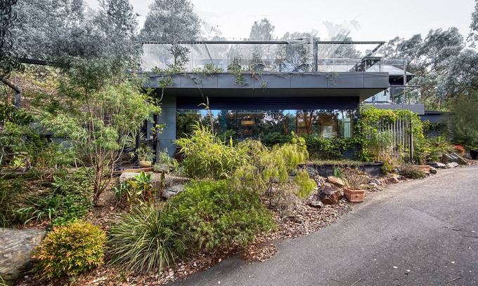 North Warrandyte Apartment | Modern, Calm, in the Treetops