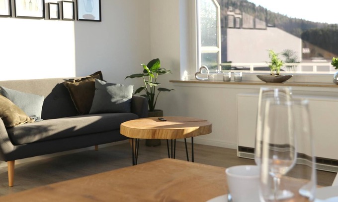 Niedersfeld Apartment | Modern vacation apartment (50 sqm) for up to 3 people with south-facing balcony and view of the Hillebachsee (mountain view)