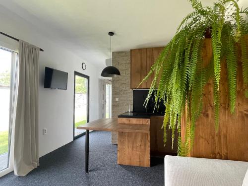 Turcianske Teplice House | Modul Monika