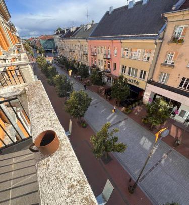 Siauliai City Center Apartment | Monacco