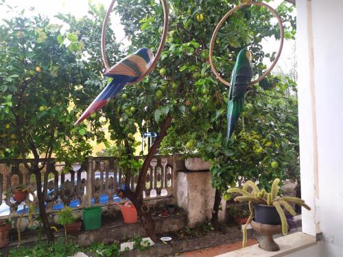 Carbonia Apartment | Monolocale Il Rifugio