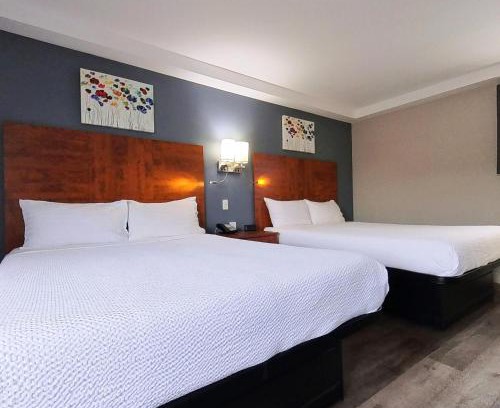Sudbury Hotel | Moonlight Inn and Suites Sudbury
