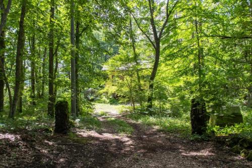 Naganohara-machi House | Mori no Komei campsite - Vacation STAY 04454v