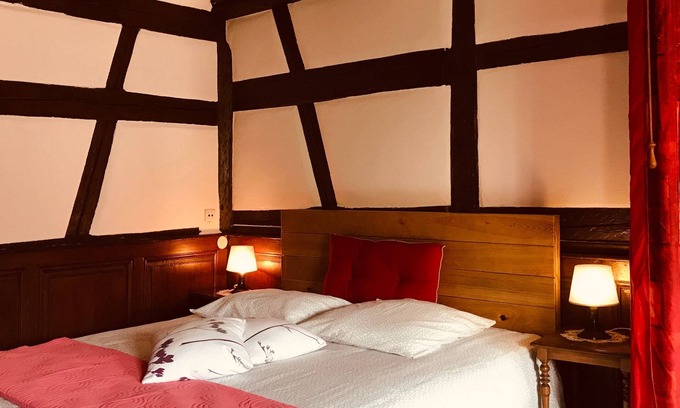 Ammerschwihr Apartment | Mountain view studio