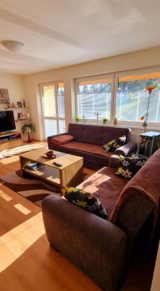 Vysne Ruzbachy Apartment | Mountain Village Apartment Pinewood *