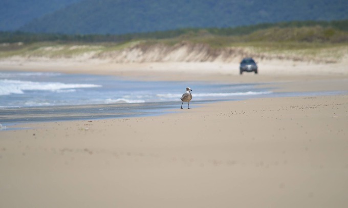Rio Vermelho Sul Apartment | Mozamba Surf House - House for 5 people near the beach.