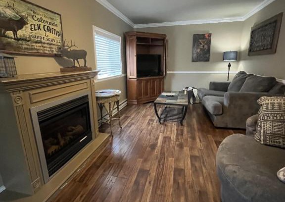 Estes Park House | Mt Olympus Cabin, Cozy 1 bedroom cabin Great for couples
