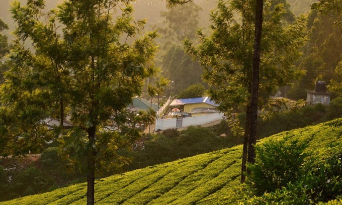Devikolam House | Munnar valley view